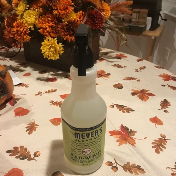 Other - Meyers Clean Day